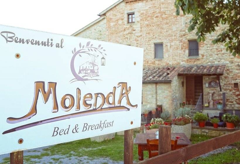 Molenda B&b