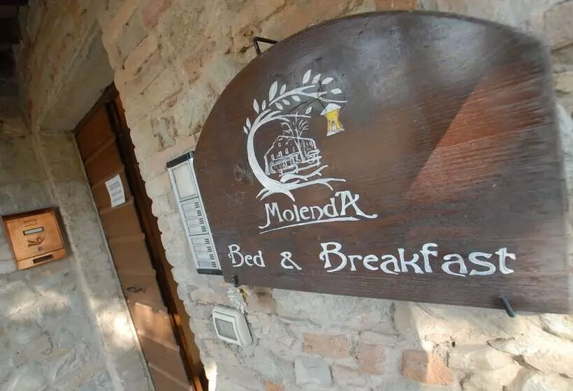 Molenda B&b