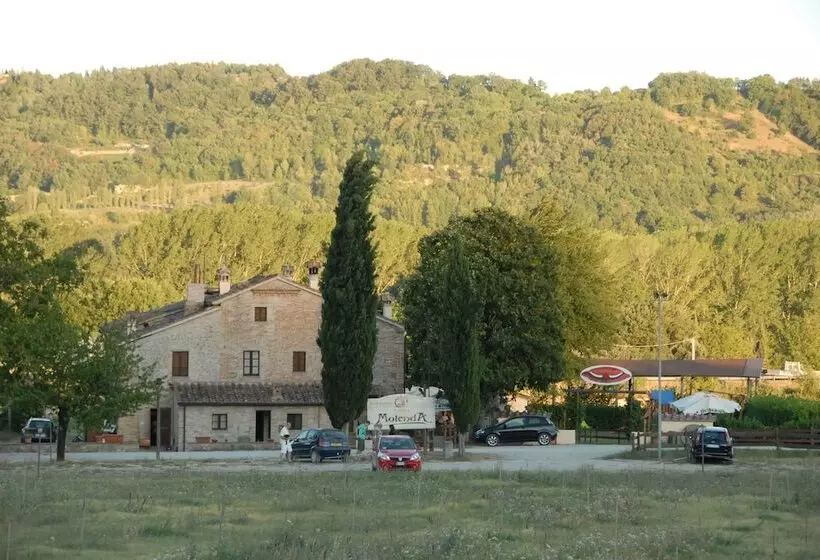 Molenda B&b