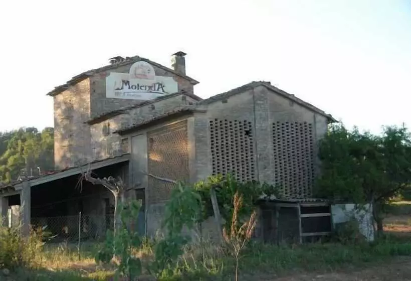 Molenda B&b