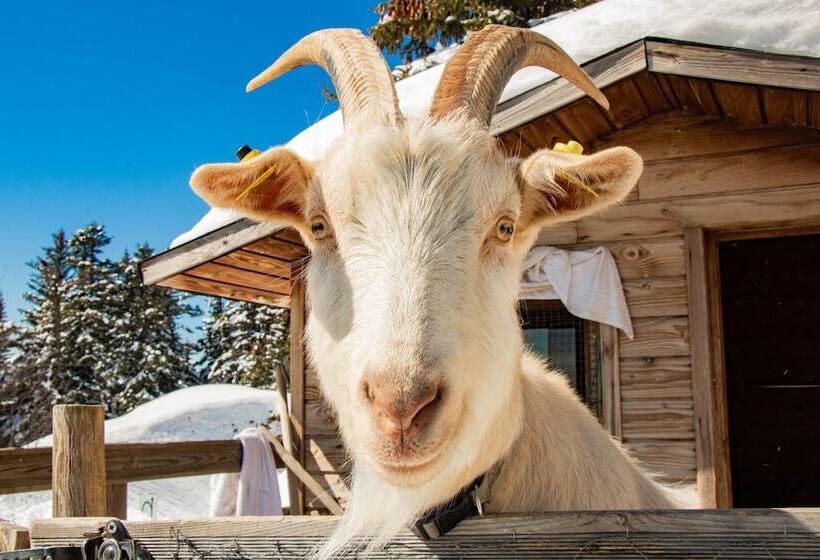 Résidences Les Villages Du Bachat