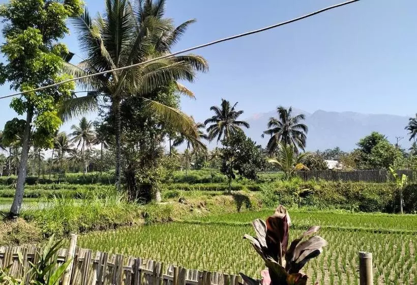 Retkeilymaja Sunset Point Kembang Kuning