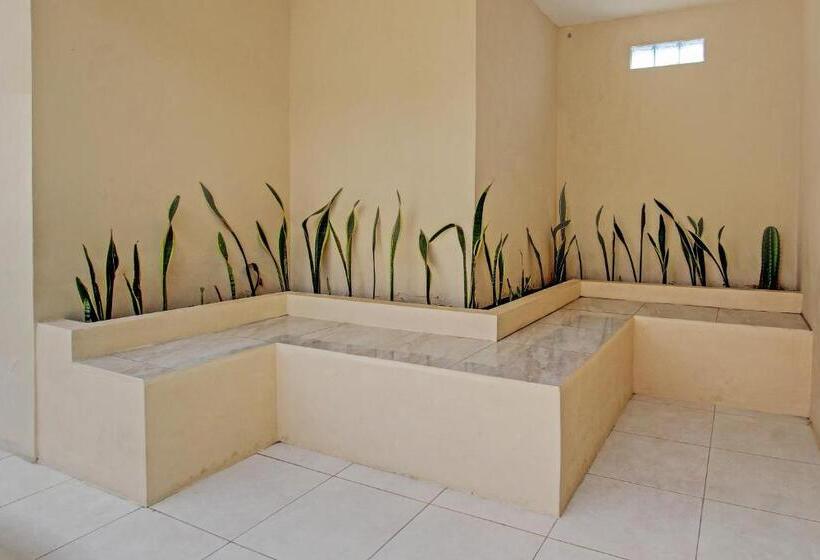 ホテル Oyo 93034 Ayri Home