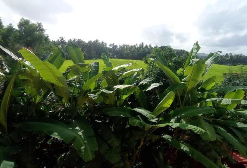 펜션 Parvati S Homestay