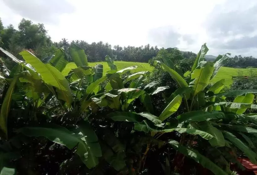ペンション Parvati S Homestay