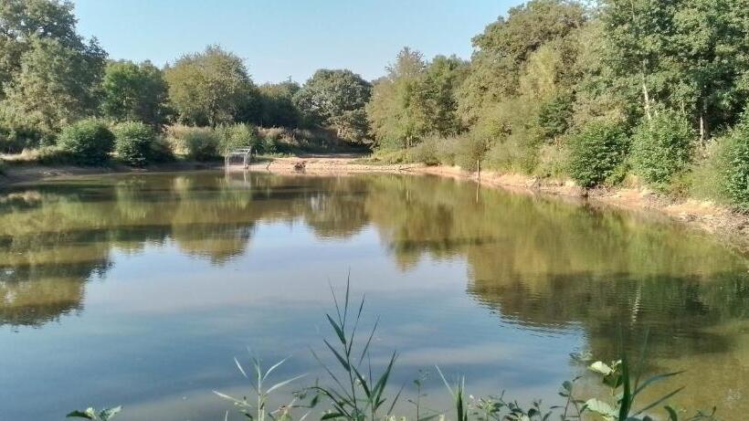 ベッドアンドブレックファースト Gîte La Petite Gilardière