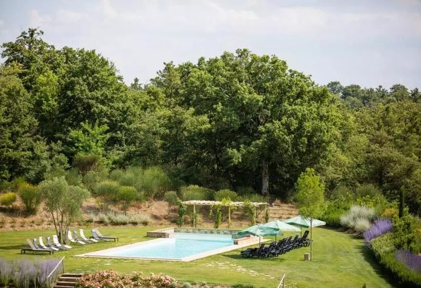 Luxury Resort With Swimming Pool In The Tuscan Countryside, Apartments With Private Outdoor Area Wit