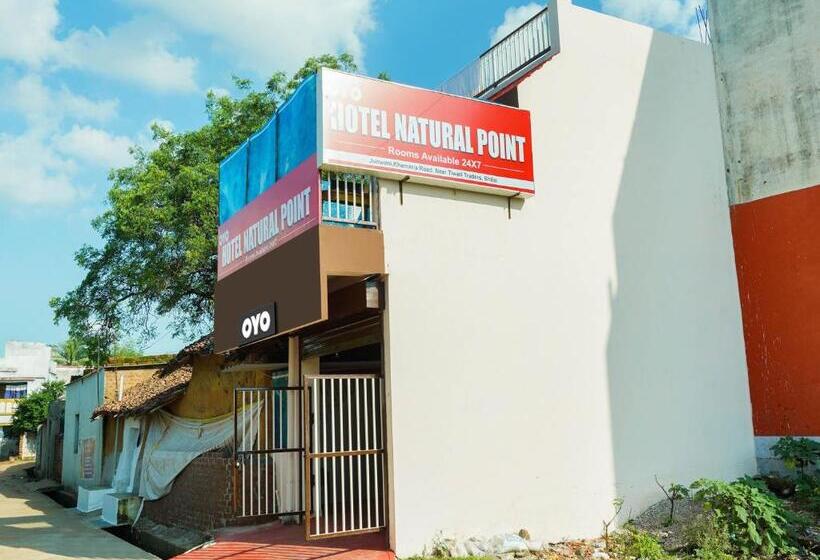Oyo Flagship Hotel Natural Point