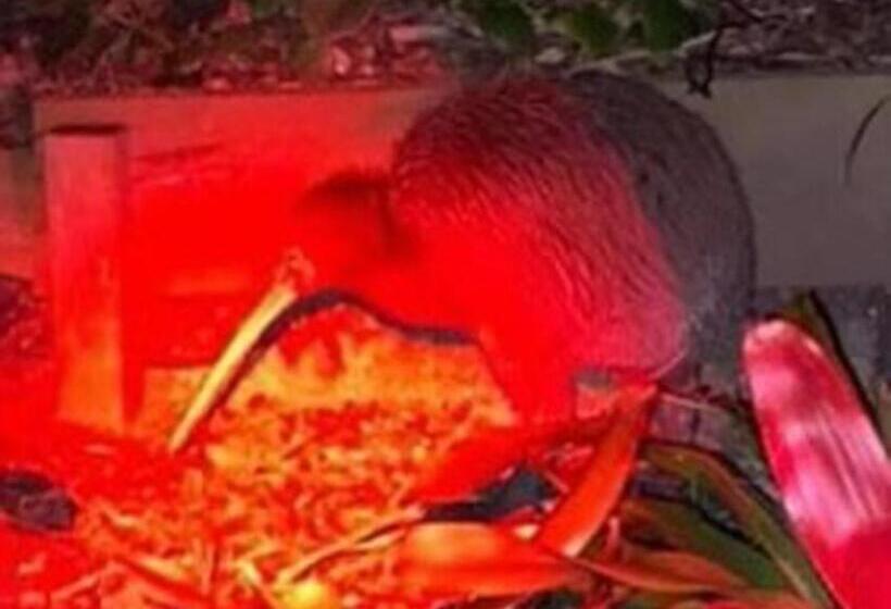 펜션 The Pacific Room, Tapeka Point