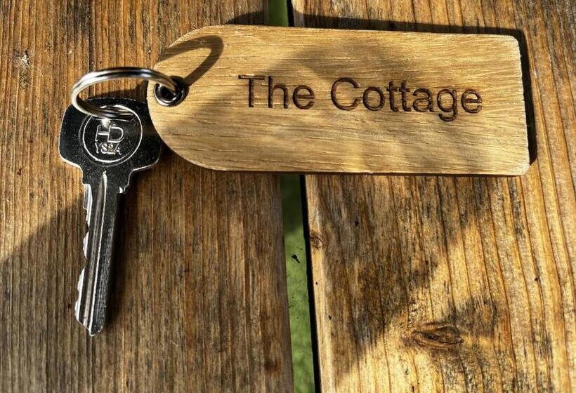 ベッドアンドブレックファースト Crown & Anchor