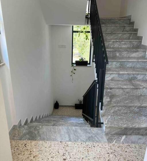 تختخواب و صبحانه Matarrese 1950