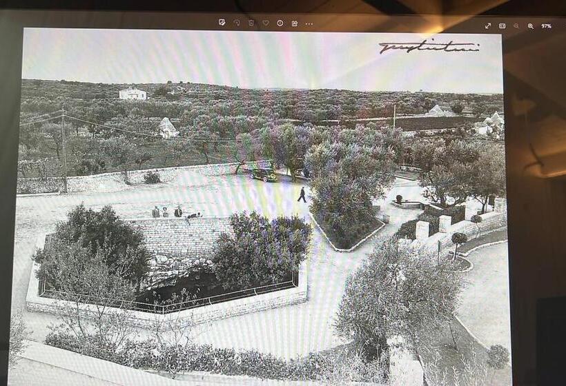 تختخواب و صبحانه Matarrese 1950