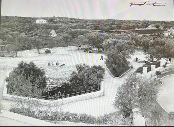 تختخواب و صبحانه Matarrese 1950