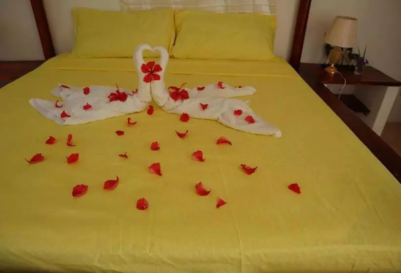 تختخواب و صبحانه Villa Sol
