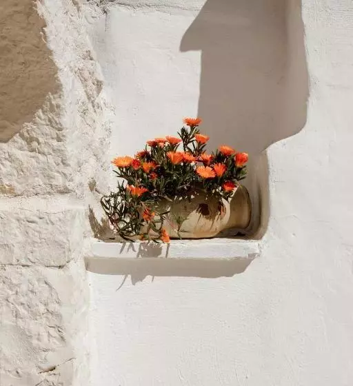 ペンション Borgo Chiancarosa   Trullo E Lamia