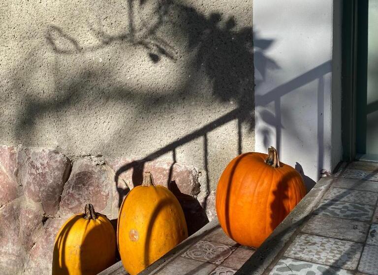 膳宿费 Hatablak Köveskál