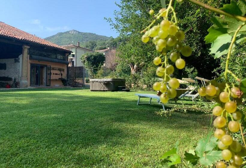 פנסיון Il Casale Del Vino