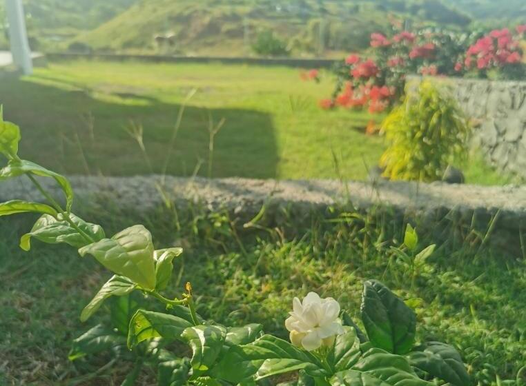 Pension Panoramic Paradise