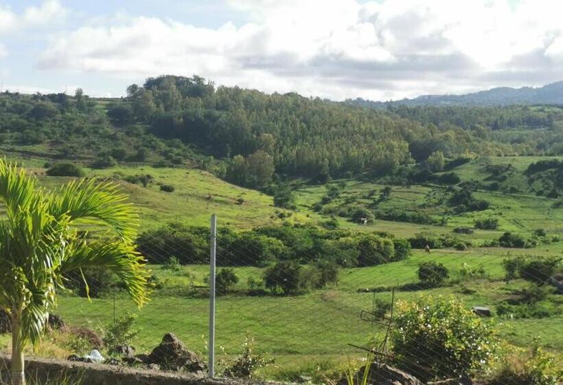 Pension Panoramic Paradise