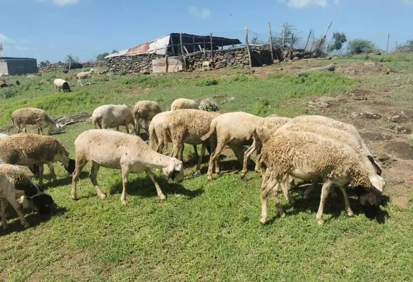 پانسیون Panoramic Paradise