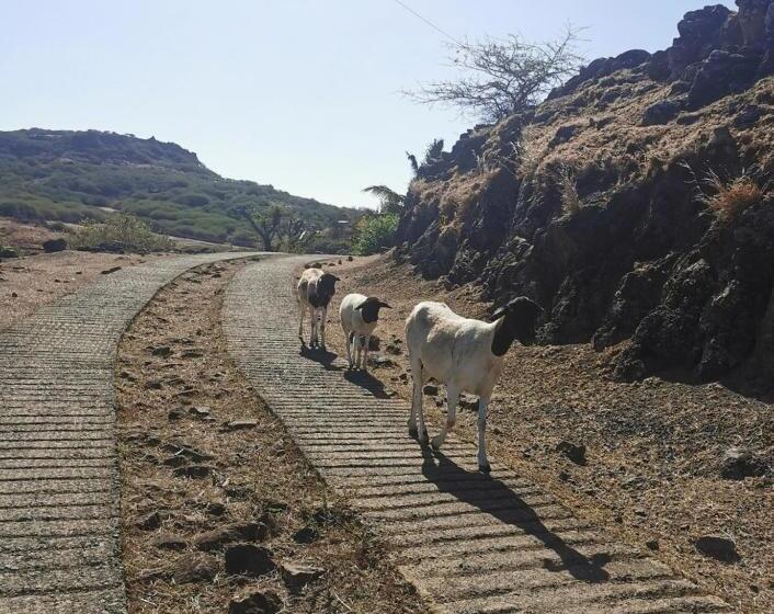 Pension Panoramic Paradise