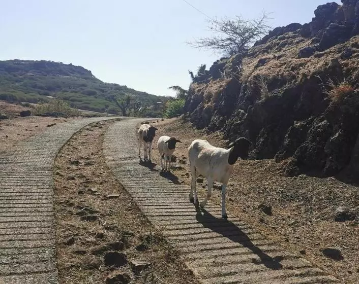 پانسیون Panoramic Paradise