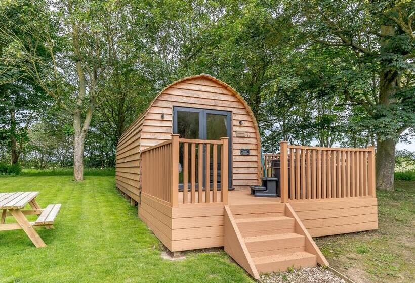 리조트 Killerby Old Hall