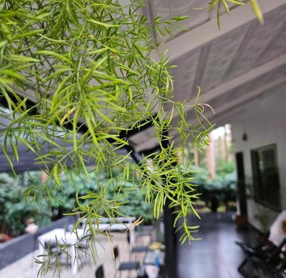 Benomadic Eco Hostel, Madikeri, Coorg