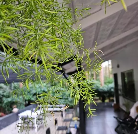 Benomadic Eco Hostel, Madikeri, Coorg