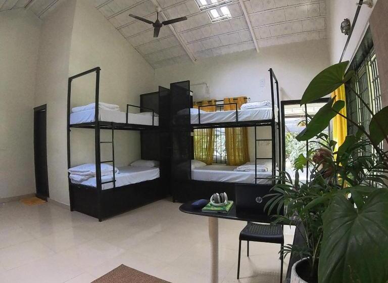 Benomadic Eco Hostel, Madikeri, Coorg