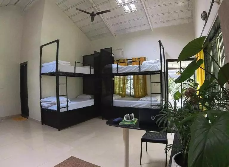 Benomadic Eco Hostel, Madikeri, Coorg