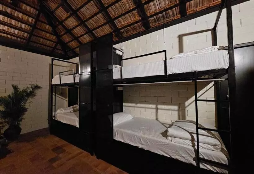 Benomadic Eco Hostel, Madikeri, Coorg