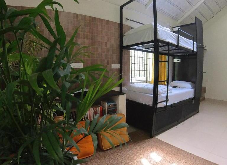Benomadic Eco Hostel, Madikeri, Coorg