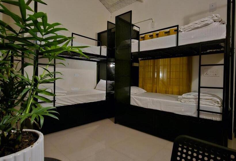 Benomadic Eco Hostel, Madikeri, Coorg
