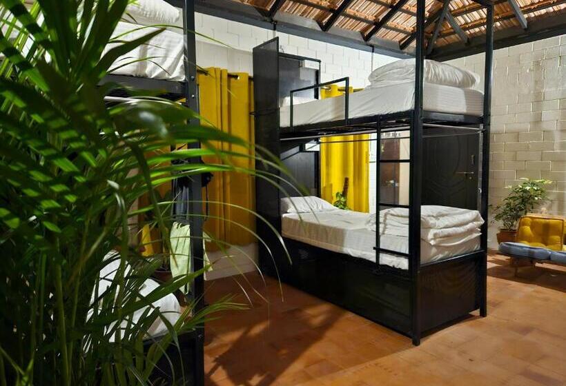 Benomadic Eco Hostel, Madikeri, Coorg