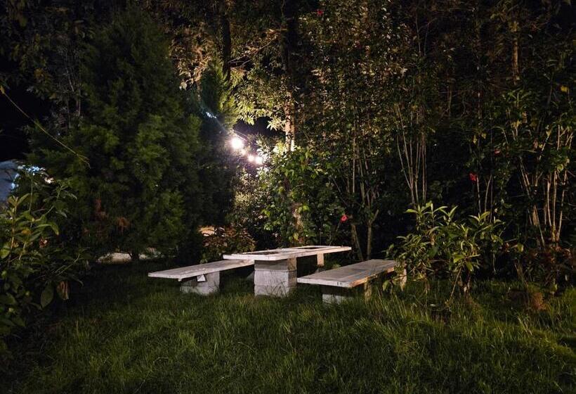 Benomadic Eco Hostel, Madikeri, Coorg