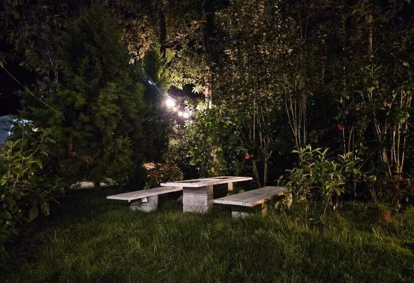 Benomadic Eco Hostel, Madikeri, Coorg