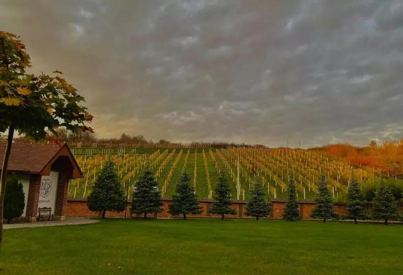 Hotelli Winegarden