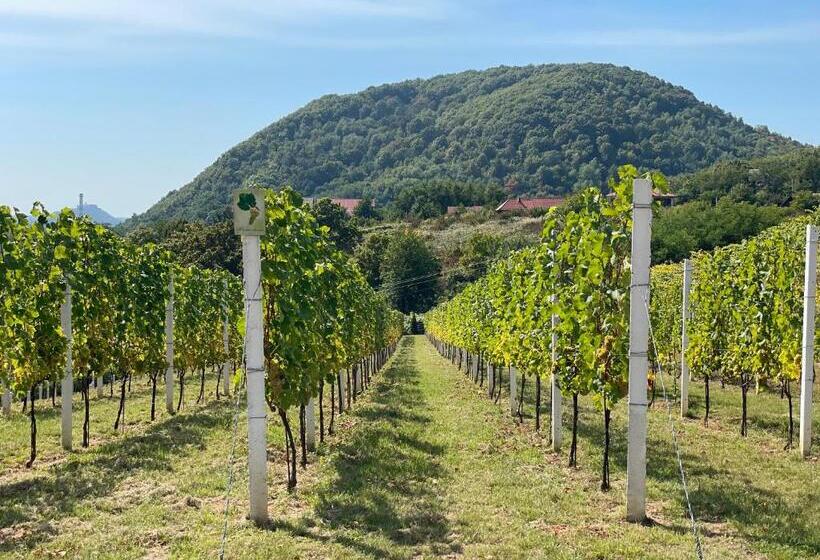 Отель Winegarden