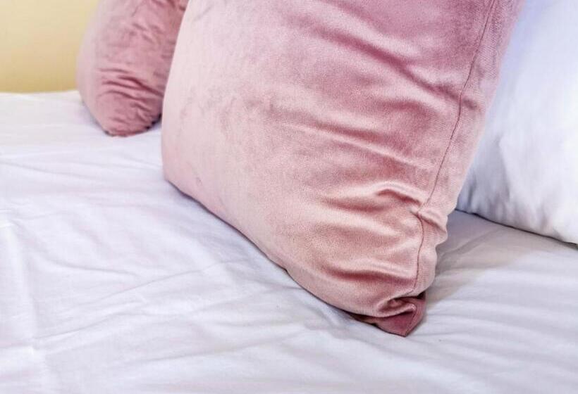 Pension Genesis Guesthouze