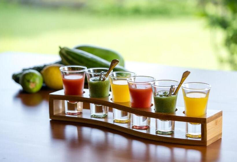 日式旅馆 宿坊 心月