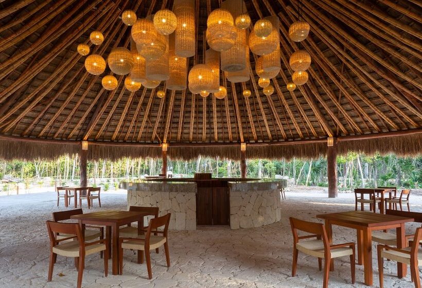 Alma Maya Resort   Riviera Maya