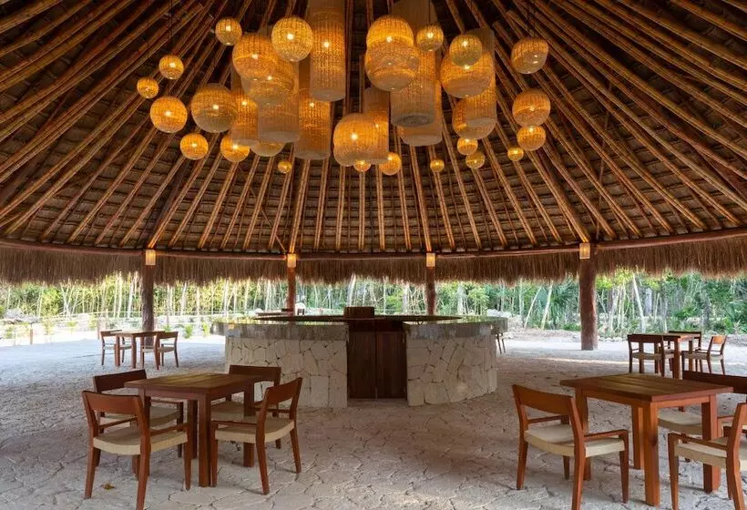 Alma Maya Resort   Riviera Maya