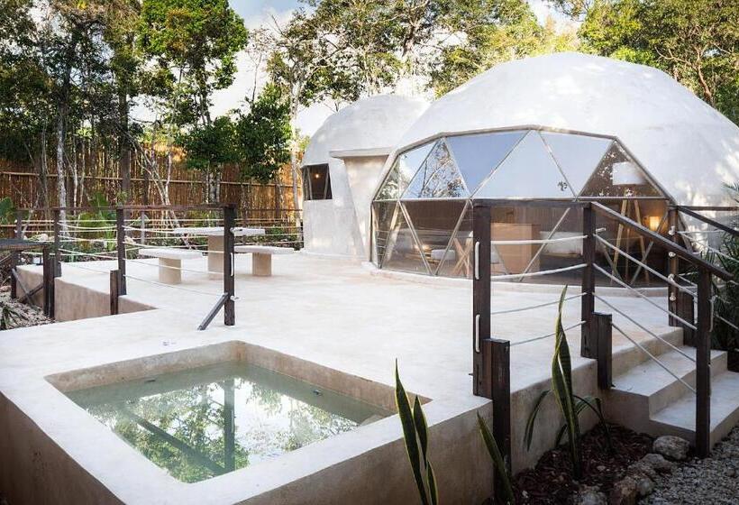 Alma Maya Resort   Riviera Maya