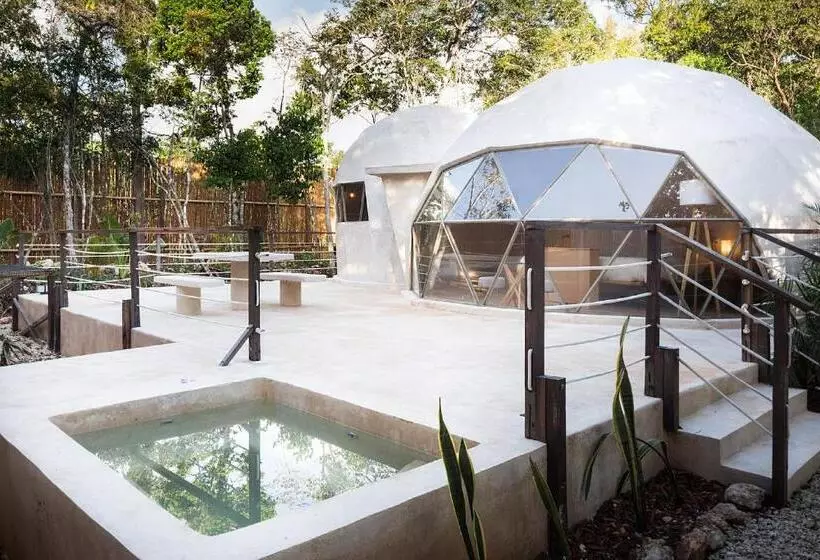 Alma Maya Resort   Riviera Maya