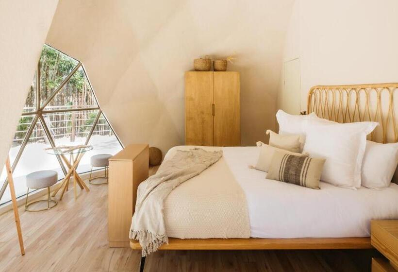 Alma Maya Resort   Riviera Maya