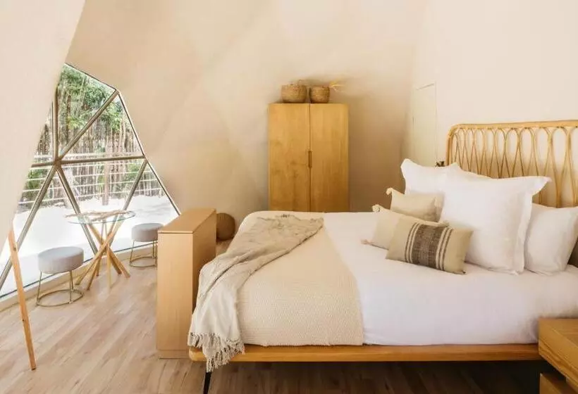 Alma Maya Resort   Riviera Maya