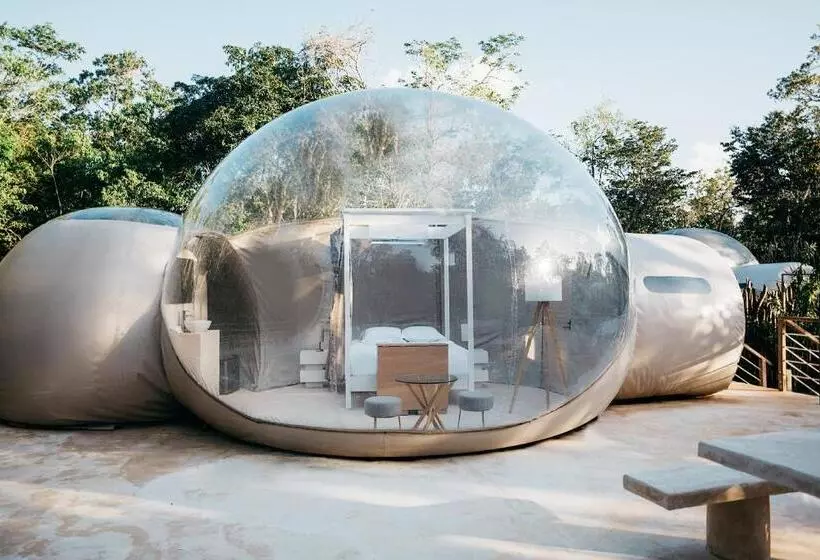 Alma Maya Resort   Riviera Maya