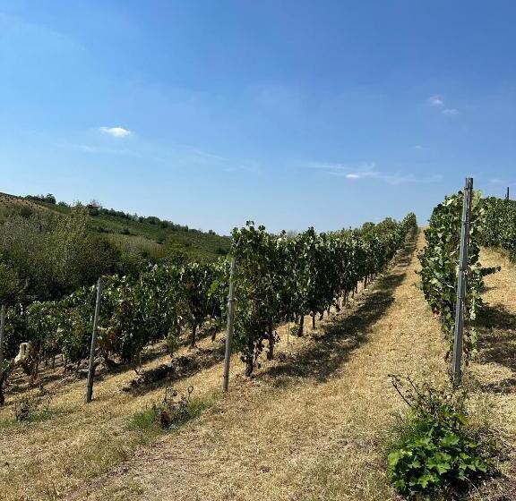 Nocleg ze śniadaniem Cadgal   Tenuta La Cova