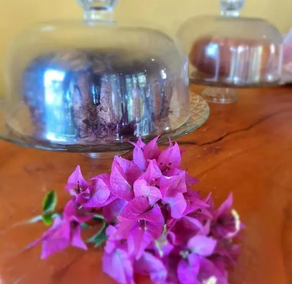 ホテル Villa Garcez